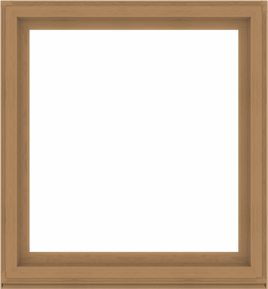 WDMA 52x56 (51.5 x 55.5 inch) Composite Wood Aluminum-Clad Picture Window without Grids-1