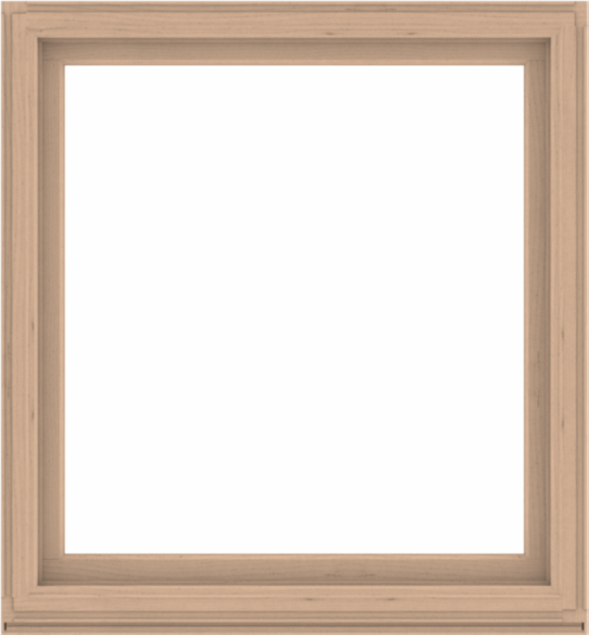 WDMA 52x56 (51.5 x 55.5 inch) Composite Wood Aluminum-Clad Picture Window without Grids-2