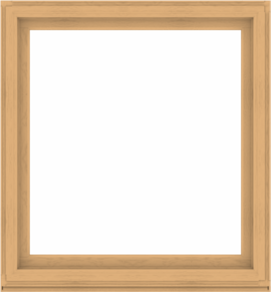 WDMA 52x56 (51.5 x 55.5 inch) Composite Wood Aluminum-Clad Picture Window without Grids-3