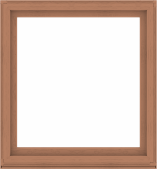 WDMA 52x56 (51.5 x 55.5 inch) Composite Wood Aluminum-Clad Picture Window without Grids-4
