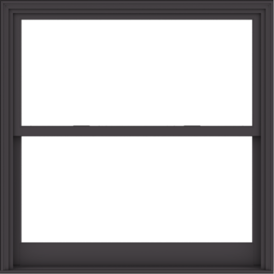 WDMA 54x54 (53.5 x 53.5 inch)  Aluminum Single Hung Double Hung Window without Grids-3