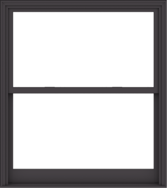 WDMA 54x61 (53.5 x 60.5 inch)  Aluminum Single Hung Double Hung Window without Grids-3