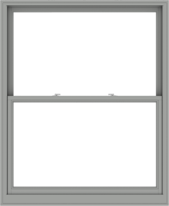 WDMA 54x66 (53.5 x 65.5 inch)  Aluminum Single Double Hung Window without Grids-1