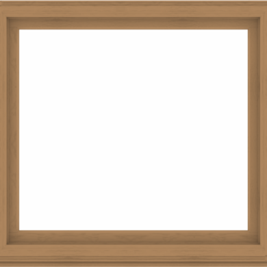 WDMA 56x52 (55.5 x 51.5 inch) Composite Wood Aluminum-Clad Picture Window without Grids-1