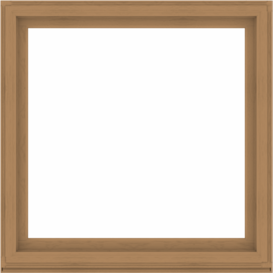 WDMA 56x56 (55.5 x 55.5 inch) Composite Wood Aluminum-Clad Picture Window without Grids-1