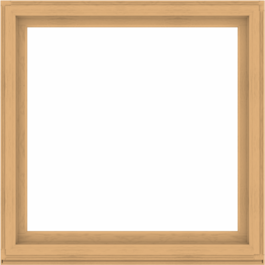 WDMA 56x56 (55.5 x 55.5 inch) Composite Wood Aluminum-Clad Picture Window without Grids-3