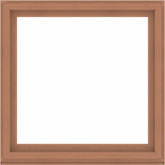 WDMA 56x56 (55.5 x 55.5 inch) Composite Wood Aluminum-Clad Picture Window without Grids-4