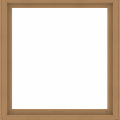 WDMA 56x60 (55.5 x 59.5 inch) Composite Wood Aluminum-Clad Picture Window without Grids-1