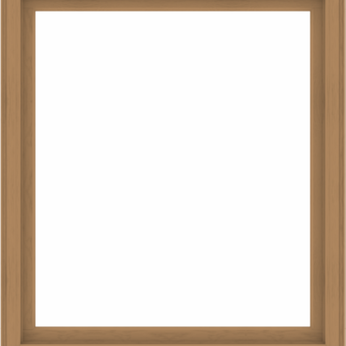 WDMA 56x64 (55.5 x 63.5 inch) Composite Wood Aluminum-Clad Picture Window without Grids-1