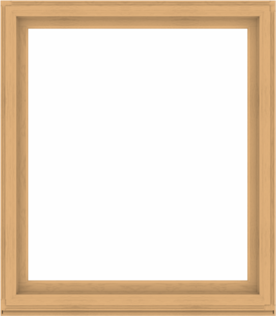 WDMA 56x64 (55.5 x 63.5 inch) Composite Wood Aluminum-Clad Picture Window without Grids-3