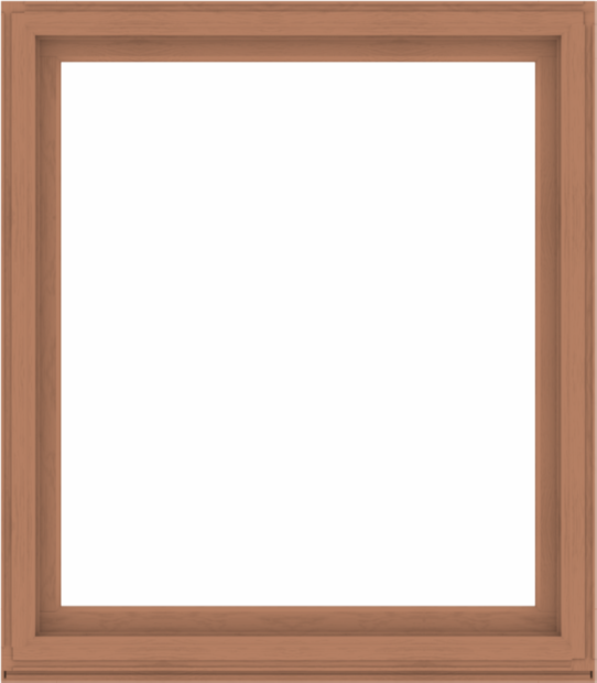 WDMA 56x64 (55.5 x 63.5 inch) Composite Wood Aluminum-Clad Picture Window without Grids-4