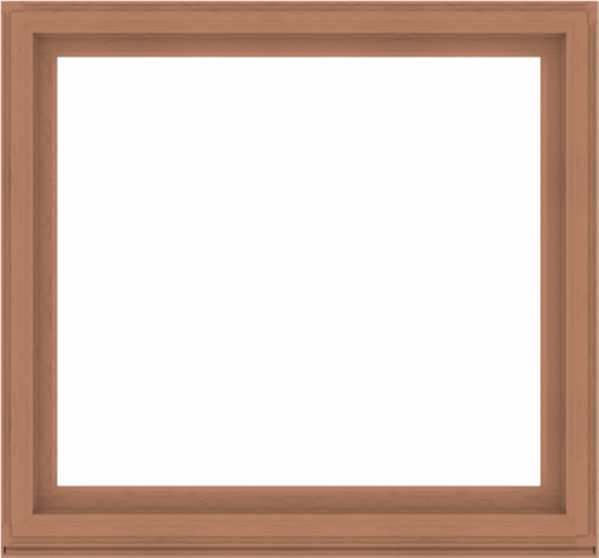 WDMA 60x56 (59.5 x 55.5 inch) Composite Wood Aluminum-Clad Picture Window without Grids-4