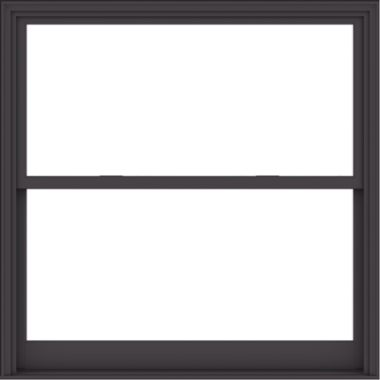 WDMA 60x60 (59.5 x 59.5 inch)  Aluminum Single Hung Double Hung Window without Grids-3