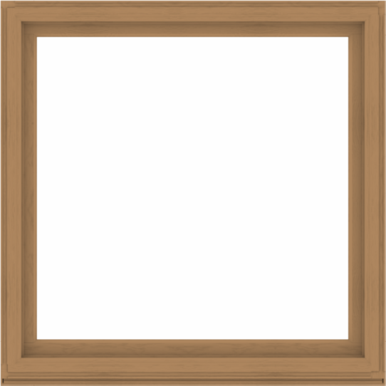 WDMA 60x60 (59.5 x 59.5 inch) Composite Wood Aluminum-Clad Picture Window without Grids-1