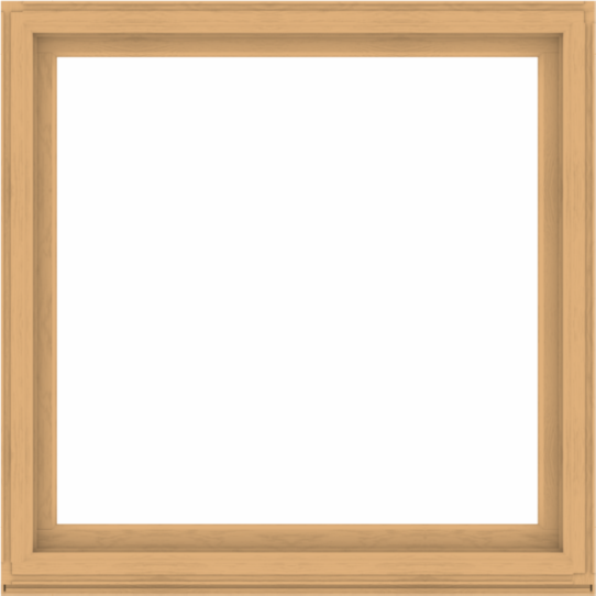 WDMA 60x60 (59.5 x 59.5 inch) Composite Wood Aluminum-Clad Picture Window without Grids-3