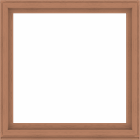 WDMA 60x60 (59.5 x 59.5 inch) Composite Wood Aluminum-Clad Picture Window without Grids-4