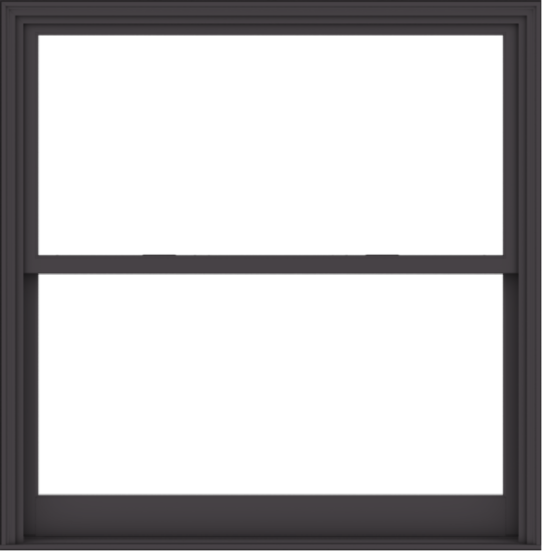WDMA 60x61 (59.5 x 60.5 inch)  Aluminum Single Hung Double Hung Window without Grids-3