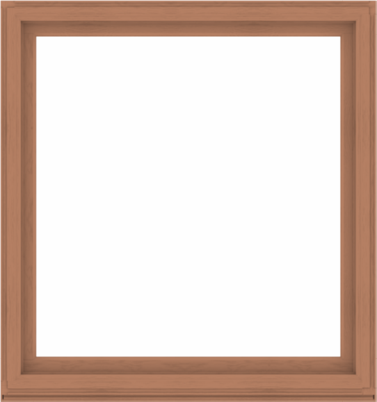 WDMA 60x64 (59.5 x 63.5 inch) Composite Wood Aluminum-Clad Picture Window without Grids-4
