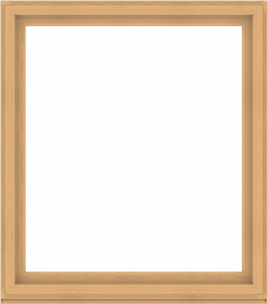 WDMA 60x68 (59.5 x 67.5 inch) Composite Wood Aluminum-Clad Picture Window without Grids-3