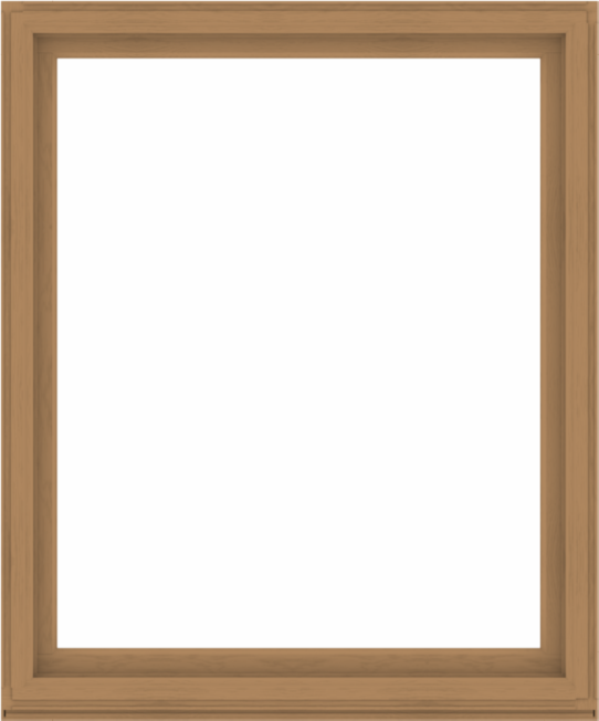 WDMA 60x72 (59.5 x 71.5 inch) Composite Wood Aluminum-Clad Picture Window without Grids-1