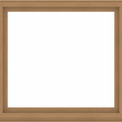 WDMA 64x60 (63.5 x 59.5 inch) Composite Wood Aluminum-Clad Picture Window without Grids-1