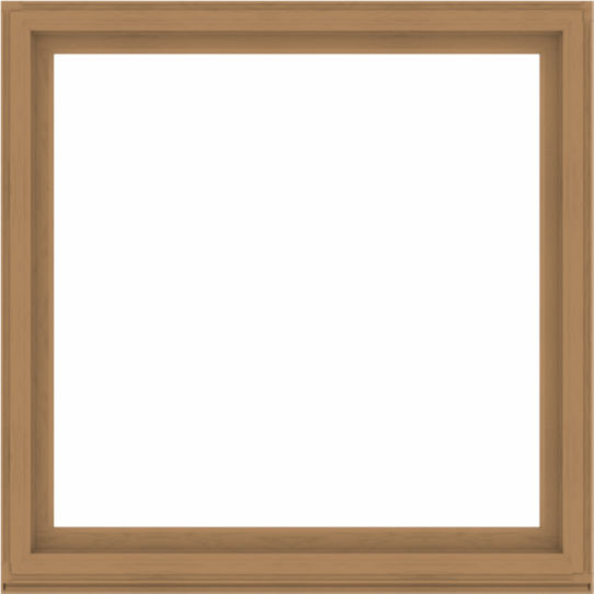 WDMA 64x64 (63.5 x 63.5 inch) Composite Wood Aluminum-Clad Picture Window without Grids-1