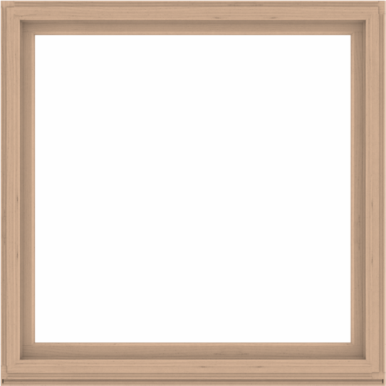 WDMA 64x64 (63.5 x 63.5 inch) Composite Wood Aluminum-Clad Picture Window without Grids-2