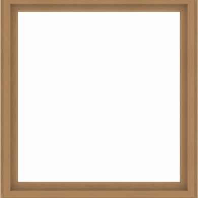 WDMA 64x68 (63.5 x 67.5 inch) Composite Wood Aluminum-Clad Picture Window without Grids-1