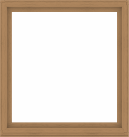 WDMA 64x68 (63.5 x 67.5 inch) Composite Wood Aluminum-Clad Picture Window without Grids-1