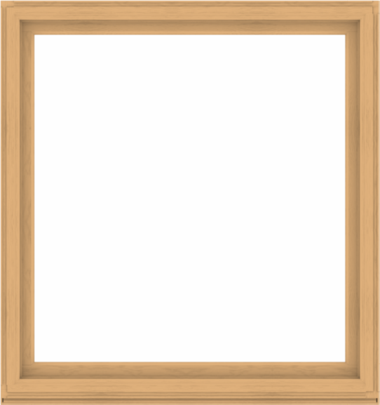 WDMA 64x68 (63.5 x 67.5 inch) Composite Wood Aluminum-Clad Picture Window without Grids-3