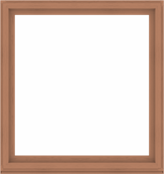 WDMA 64x68 (63.5 x 67.5 inch) Composite Wood Aluminum-Clad Picture Window without Grids-4