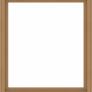 WDMA 64x72 (63.5 x 71.5 inch) Composite Wood Aluminum-Clad Picture Window without Grids-1