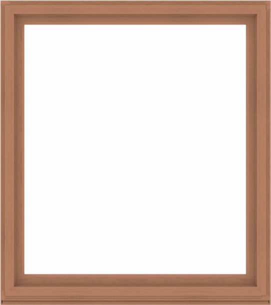 WDMA 64x72 (63.5 x 71.5 inch) Composite Wood Aluminum-Clad Picture Window without Grids-4