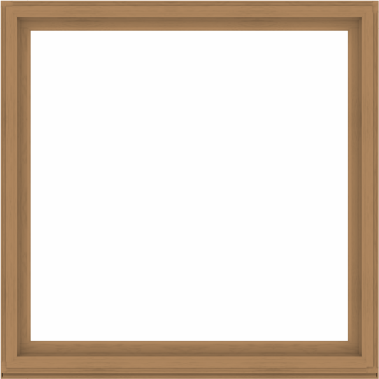 WDMA 72x72 (71.5 x 71.5 inch) Composite Wood Aluminum-Clad Picture Window without Grids-1