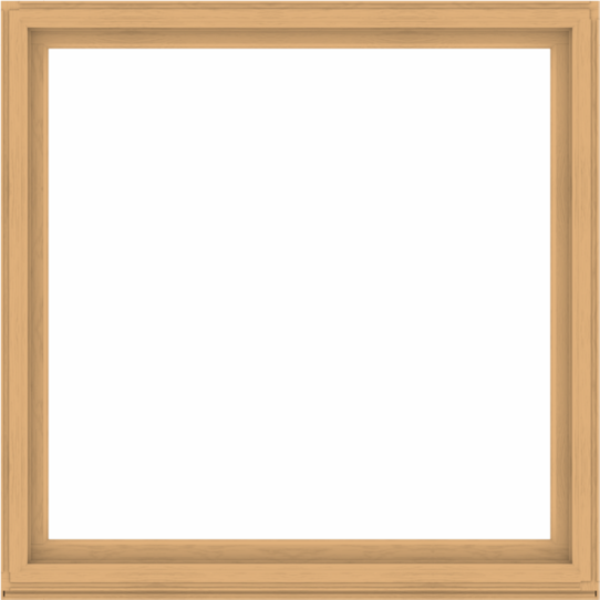 WDMA 72x72 (71.5 x 71.5 inch) Composite Wood Aluminum-Clad Picture Window without Grids-3