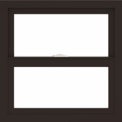 WDMA 24x24 (23.5 x 23.5 inch) Dark Bronze Aluminum Single and Double Hung Window without grids interior