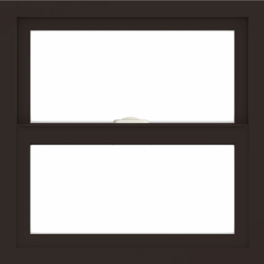 WDMA 24x24 (23.5 x 23.5 inch) Dark Bronze Aluminum Single and Double Hung Window without grids interior