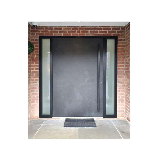 WDMA Metal Pivot Entrance Door